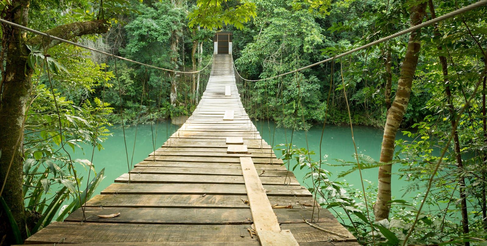 nationaal-park-belize.jpg