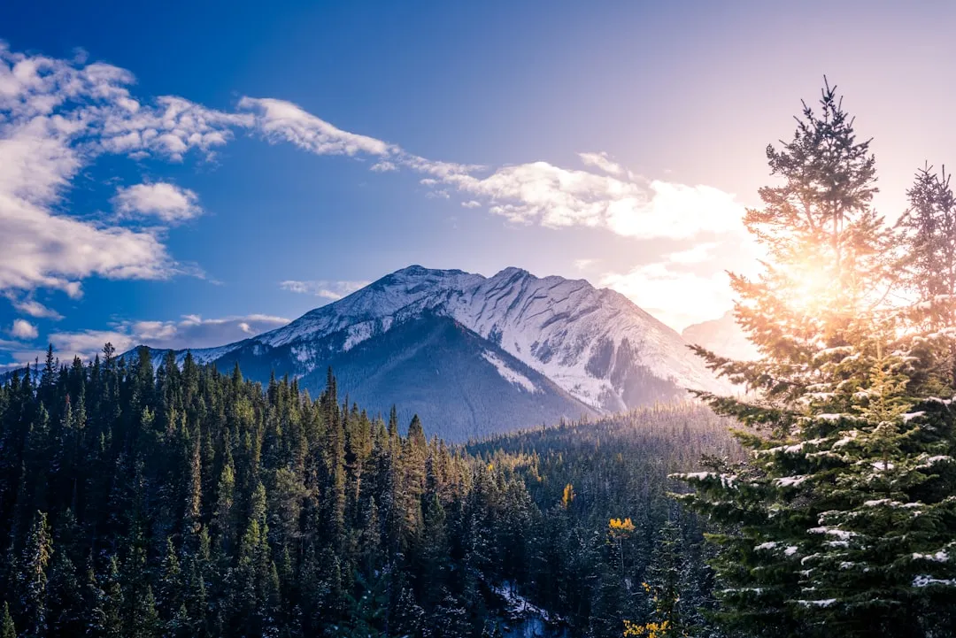 Overzicht van camperhuur aanbieders in Canada