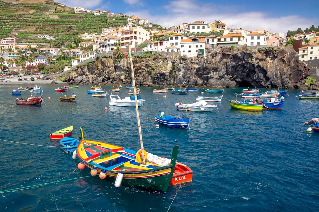 Leuke vakantiehuizen op Madeira voor een ontspannen verblijf