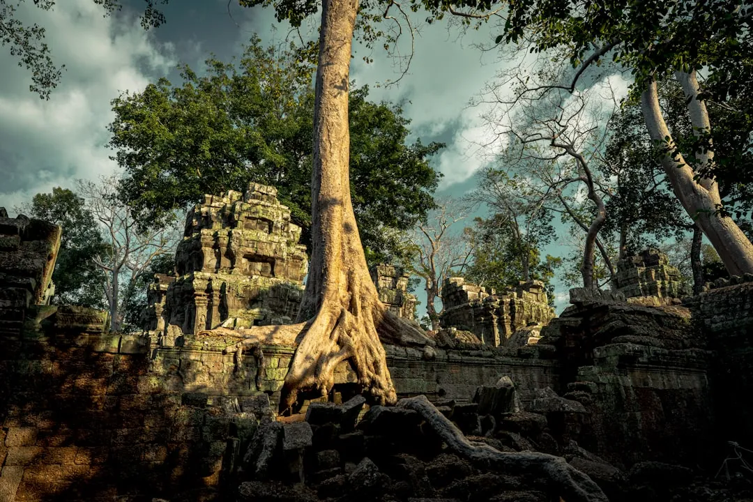 Cambodja